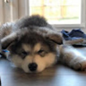 Meet your Posher, Lindsey